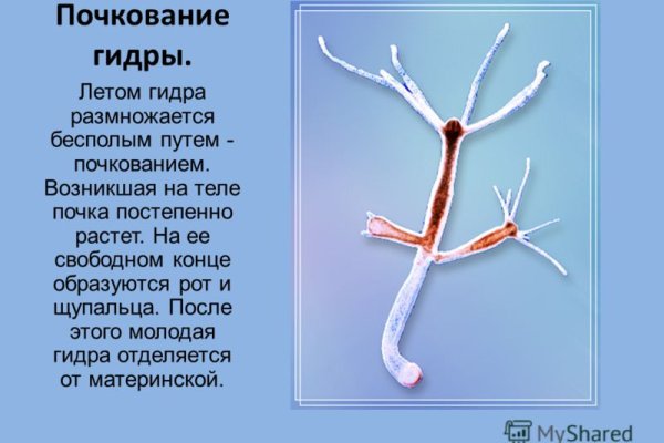 Кракен krakken15at com
